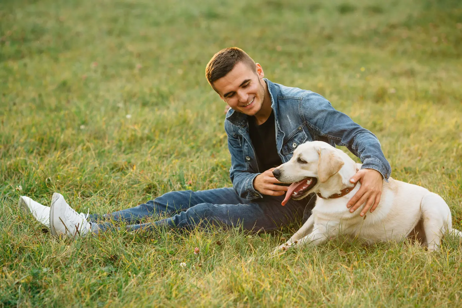 man with dog on th grass